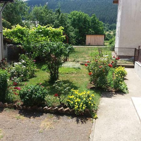 Apartment Hinic Vrhovine Экстерьер фото